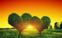 Two-love-hearts-trees-grass-sunset_s